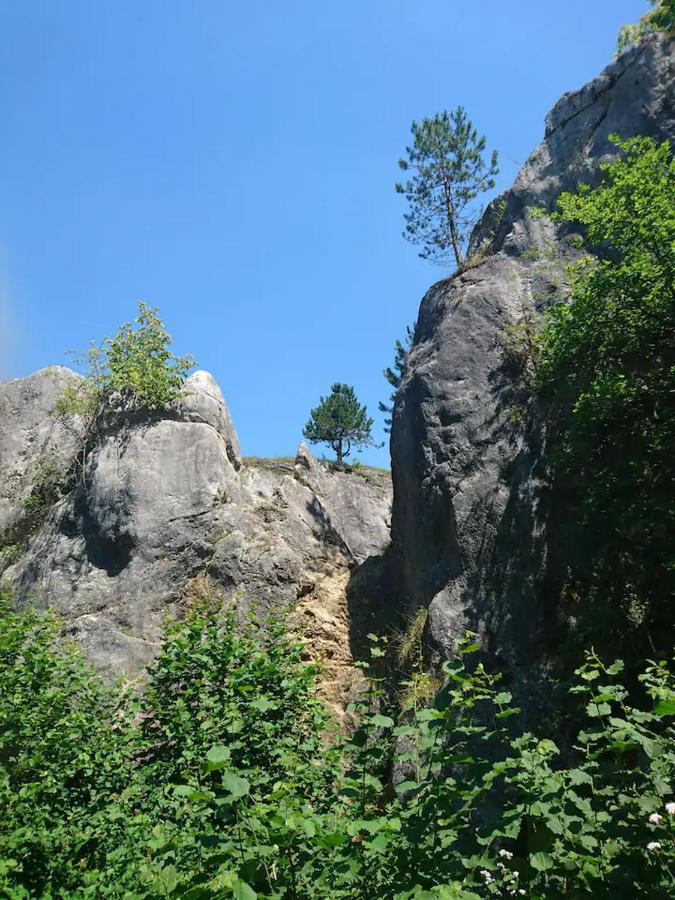 Patchou'S Cabane Villa Couvin Exterior foto